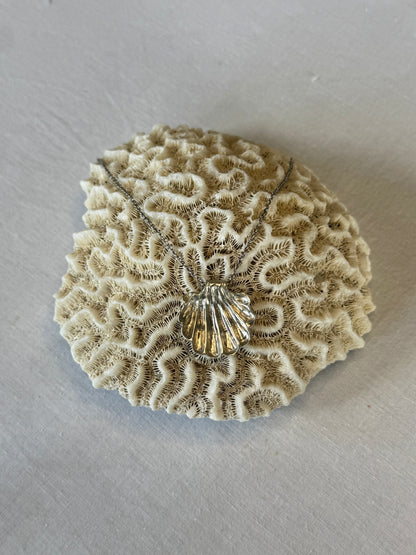 Shell Necklace