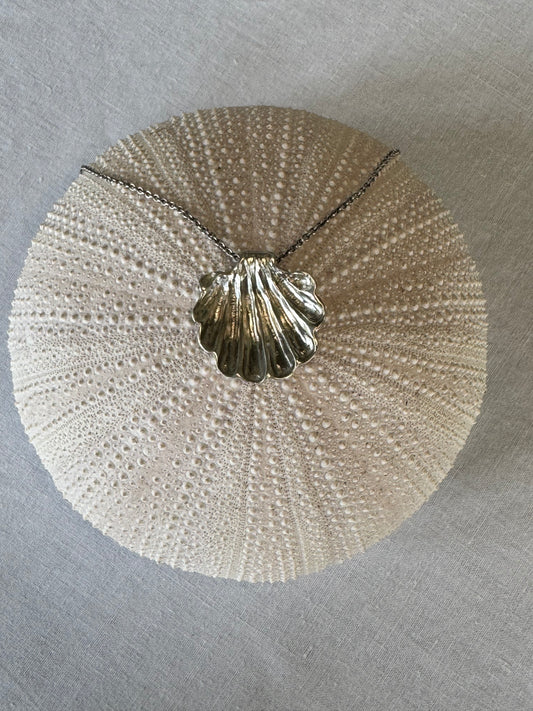Shell Necklace