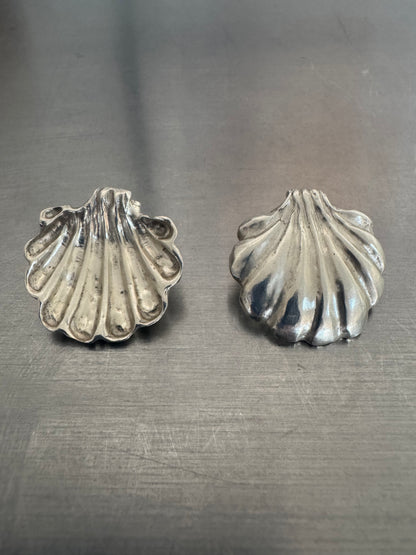 Shell Earrings