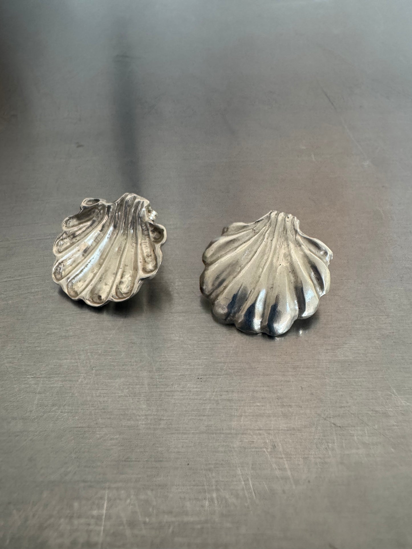 Shell Earrings