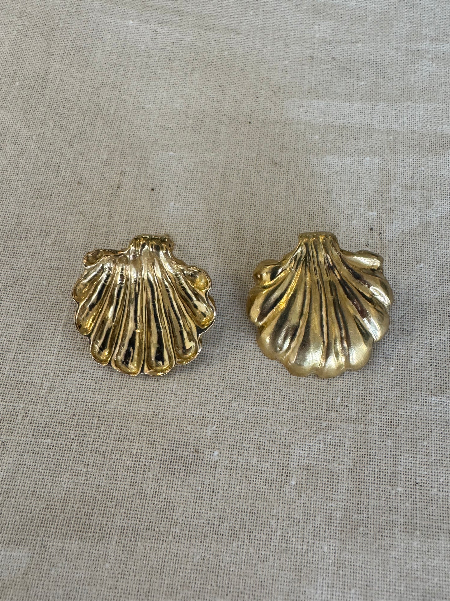 Shell Earrings