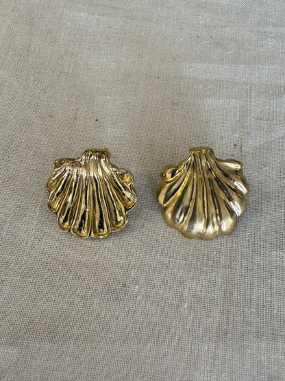 Shell Earrings