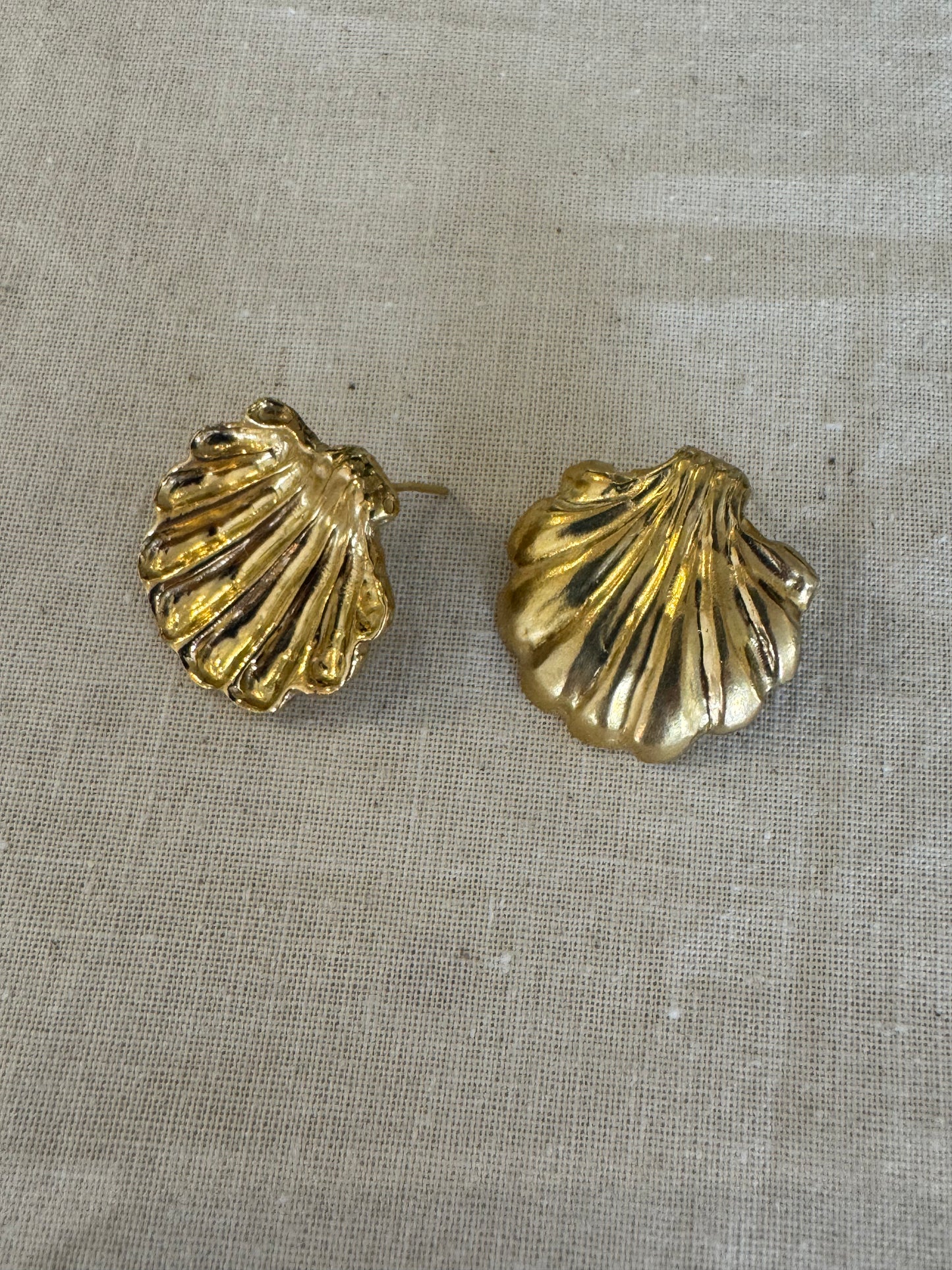 Shell Earrings