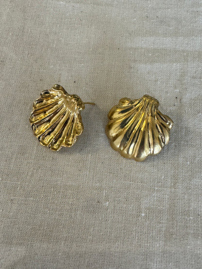 Shell Earrings