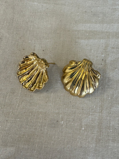 Shell Earrings