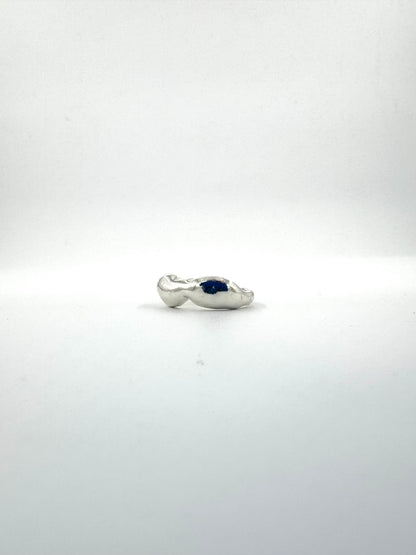 Blob Blob Ring