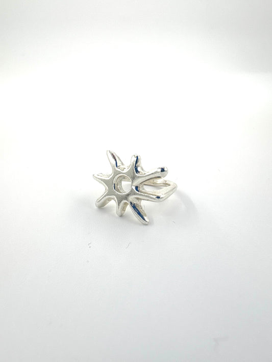 Sunny Ring