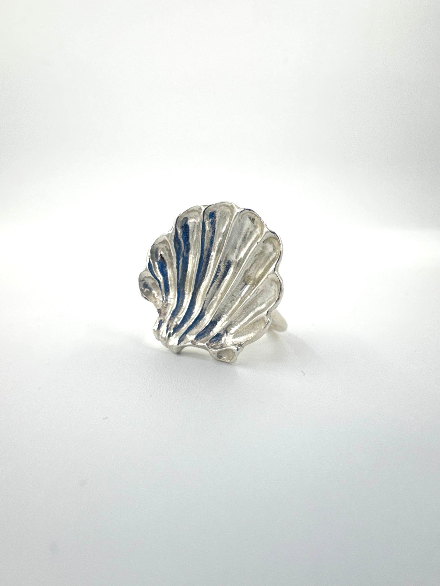 Shell Ring