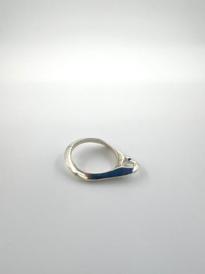 Slice Ring
